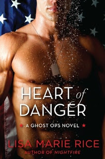 Review: Heart of Danger by Lisa Marie Rice