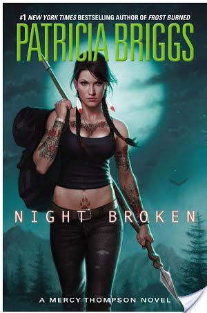 Joint Review: Night Broken by Patricia Briggs