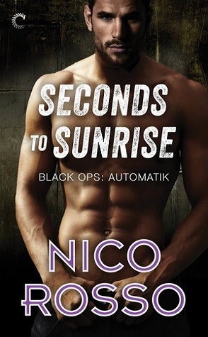 Guest Review: Seconds to Sunrise by Nico Rosso