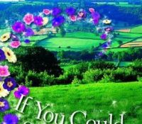Review: If You Could See Me Now by Cecelia Ahern.