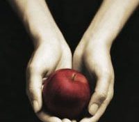 Review: Twilight by Stephenie Meyer