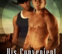 Throwback Thursday Review: His Convenient Husband by JL Langley