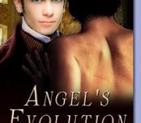 Doing Double Duty: DIK Reading Challenge & M/M Challenge Review: Angel’s Evolution by T.A. Chase