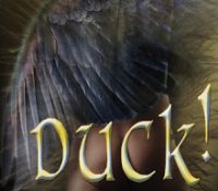 TBR Challenge Review: Duck! by Kim Dare