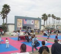 Taekwondo Competition