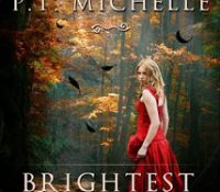 Review: Brightest Kind of Darkness by P.T. Michelle