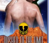 Review: Pushed to the Limit by Nico Rosso