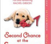 Review: Second Chance at the Sugar Shack by Candis Terry