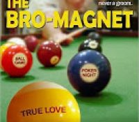 Review: The Bro-Magnet by Lauren Baratz-Logsted