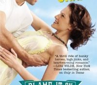 Review: Blame it On Texas by Christie Craig