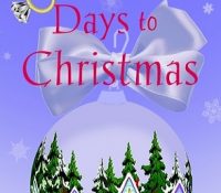 Review: The Twelve Days to Christmas by Michele Gorman