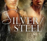 Review: Silver/Steel by Belinda McBride