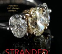 Guest Review: Stranded With A Billionaire by Jessica Clare