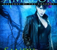 Review: The Brazen Amazon by Sandy James