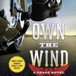 Own the Wind by Kristen Ashley Book Cover