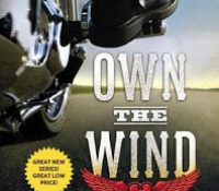 Review: Own the Wind by Kristen Ashley