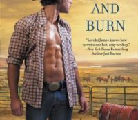 Review: Turn and Burn by Lorelei James