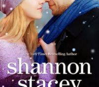 Short Story Mini-Review: Snowbound with the CEO by Shannon Stacey