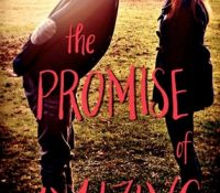 Review: The Promise of Amazing by Robin Constantine