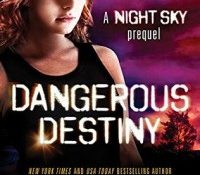 Review: Dangerous Destiny by Melanie & Suzanne Brockmann