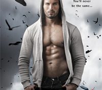 Guest Review: The Unleashing by Shelly Laurenston