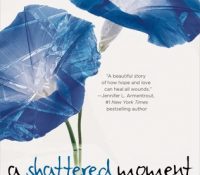 Guest Review: A Shattered Moment by Tiffany King