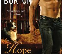 Review: Hope Ignites by Jaci Burton