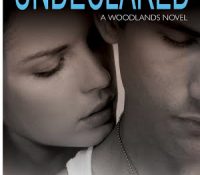 Lightning Review: Undeclared by Jen Frederick