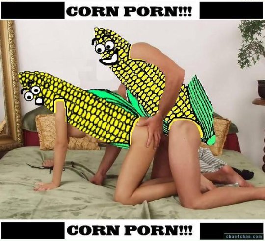 corn porn
