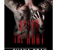Guest Review: After the Hurt by Shana Gray