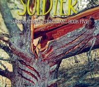 Guest Review: Dragon Soldier by Mell Eight
