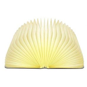 Image of Open Book Lamp