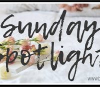 Sunday Spotlight: Sweethand by N.G. Peltier