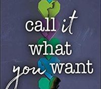 Review: Call It What You Want by Brigid Kemmerer