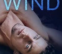 Featured Review: Like the Wind by J. Bengtsson
