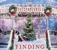 Guest Review: Finding Christmas by Karen Schaler