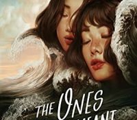 Review: The Ones We’re Meant to Find by Joan He