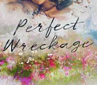 Review: Perfect Wreckage by Catherine Cowles